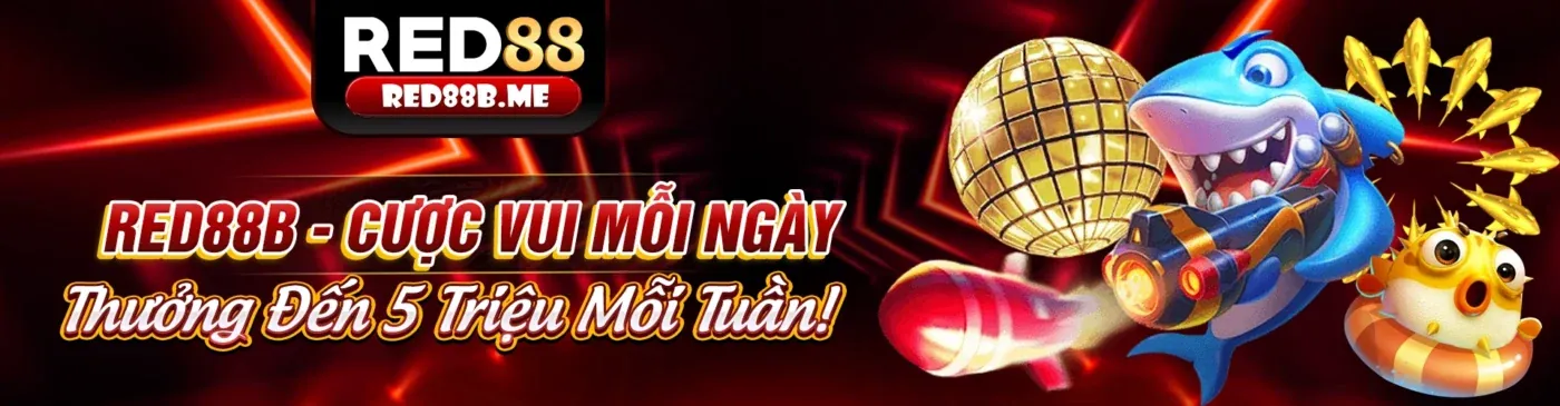 Hình ảnh chính về chơi có trách nhiệm tại dk88 link mới